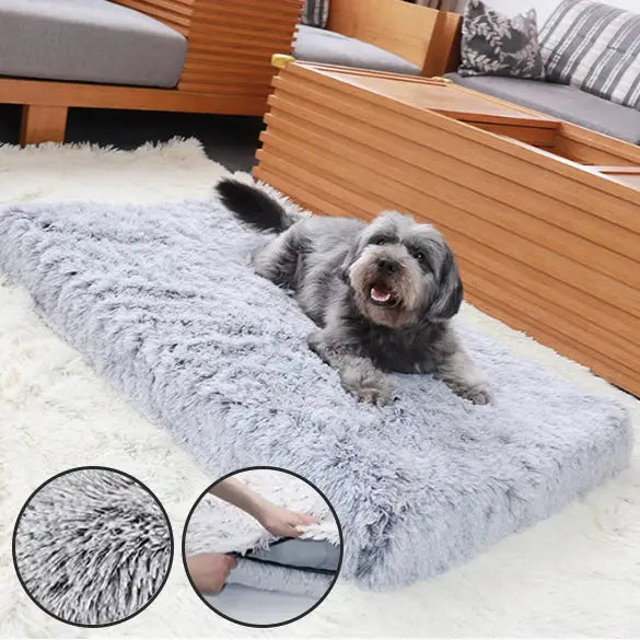 Fluffy gray dog bed with a small dog lying on it.