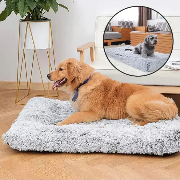 Fluffy gray pet bed with a golden retriever lying on it.