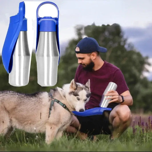 Reusable stainless steel water bottles with blue lids and handles.