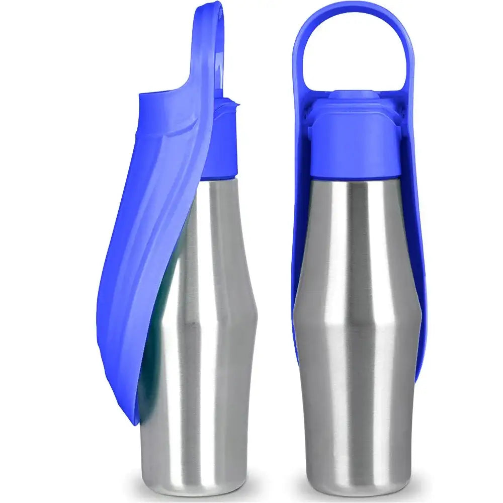 Stainless steel water bottles with blue plastic lids and handles.