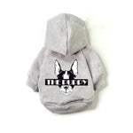 French Bulldog Hoodies For Dogs - Vignette | DoggyElite