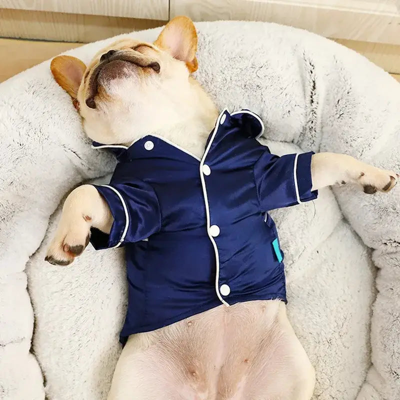 French bulldog wearing a navy blue pajama top while sleeping on a plush white cushion.