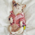 French Bulldog Pajamas - Vignette | DoggyElite