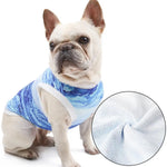 French Bulldog Shirts - Vignette | DoggyElite