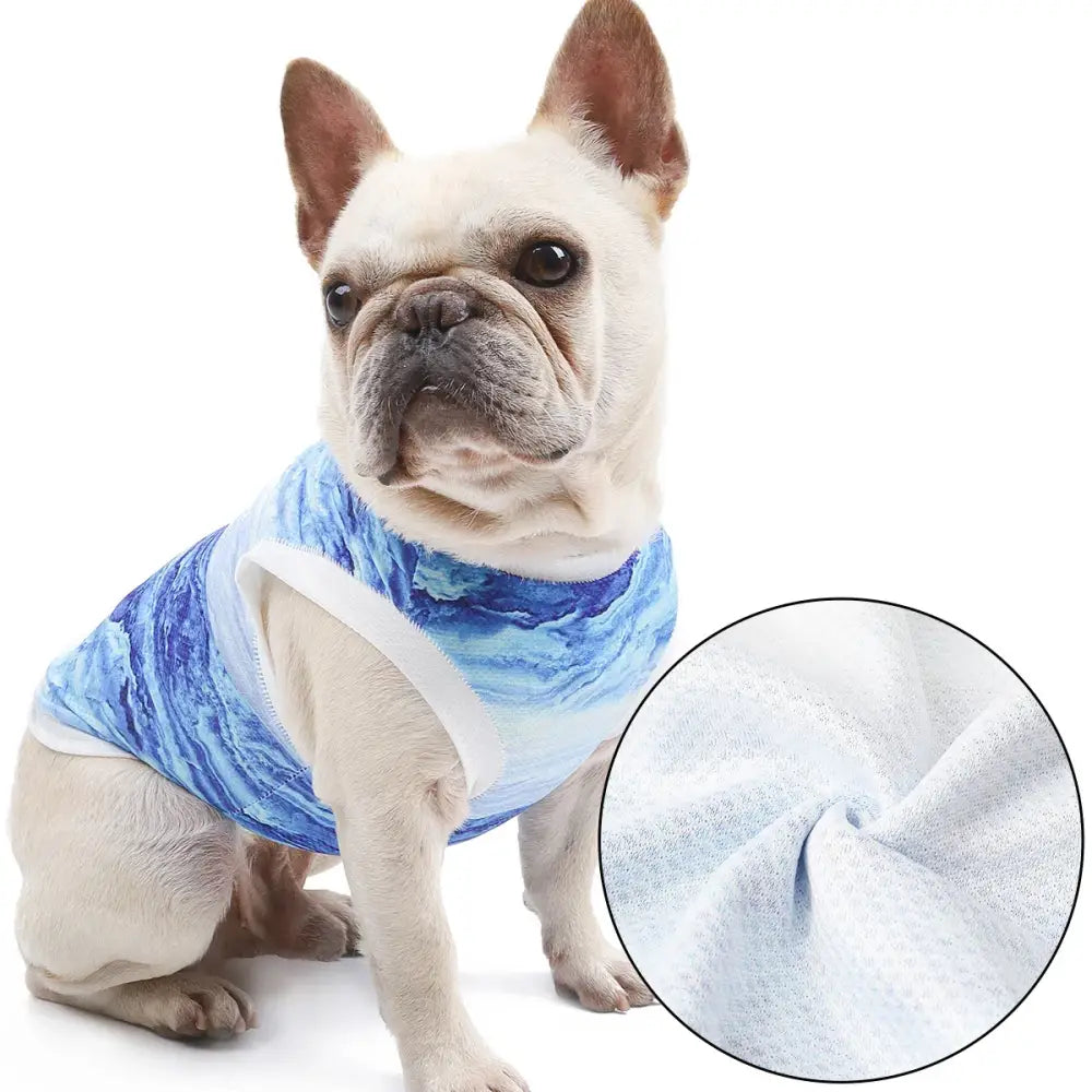 French Bulldog wearing a blue tie-dye style shirt or vest.