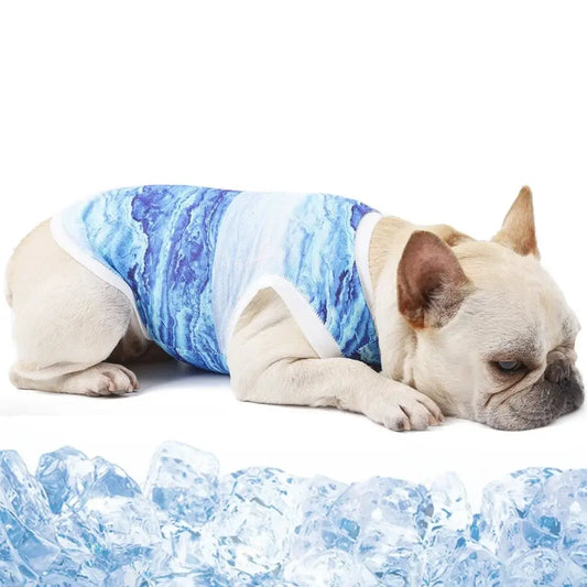 French Bulldog wearing a blue and white patterned cooling vest.