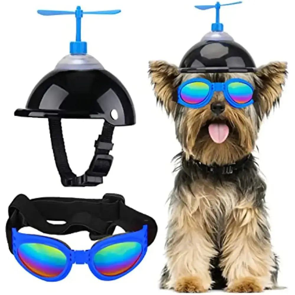 Yorkshire Terrier wearing blue sunglasses and a helmet with a propeller.