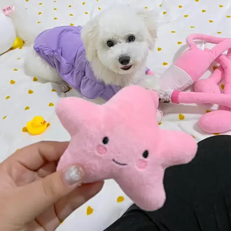 Fluffy white dog wearing a purple outfit next to a pink plush star toy.