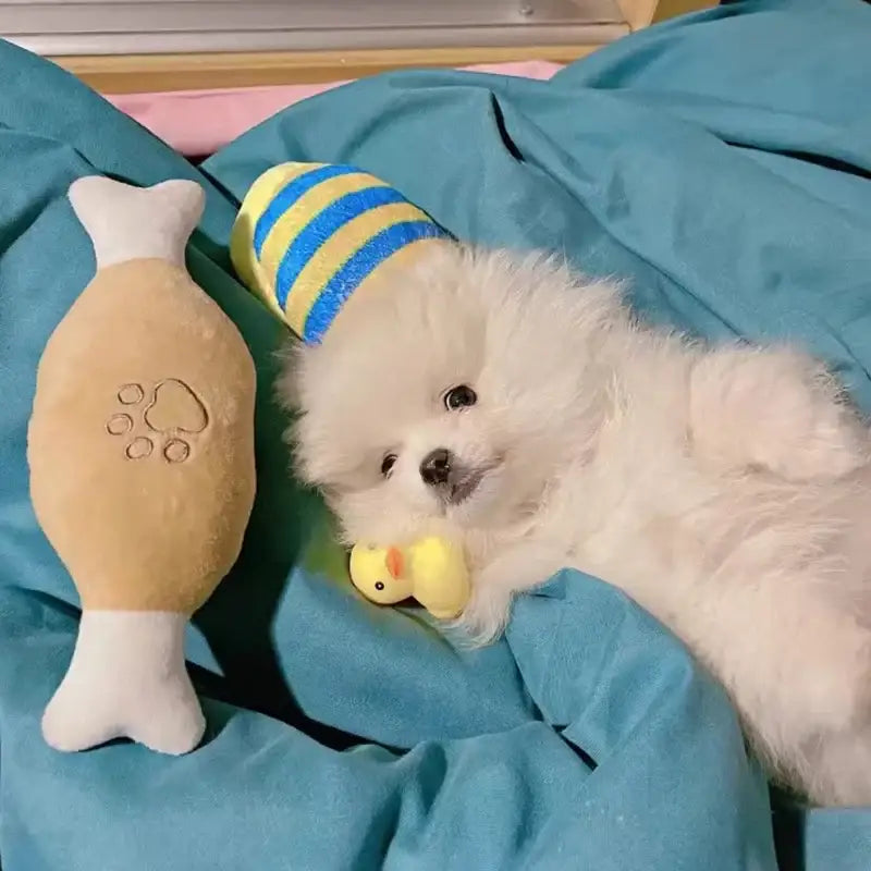 Fluffy white puppy lying on blue fabric with a toy fish and yellow ball.