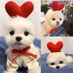 Funny Small Dog Costumes - Vignette | DoggyElite