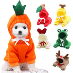 Funny Small Dog Costumes - Vignette | DoggyElite