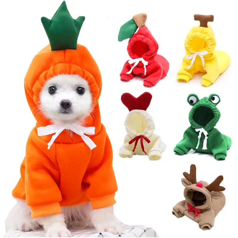 Small white puppy wearing an orange pineapple costume.