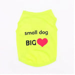 Girl Dog Clothes Large - Vignette | DoggyElite