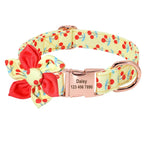 Girly Dog Collars - Vignette | DoggyElite