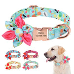 Girly Dog Collars - Vignette | DoggyElite