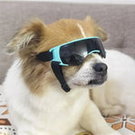 Goggle Dogs - Vignette | DoggyElite