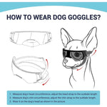 Goggle Dogs - Vignette | DoggyElite