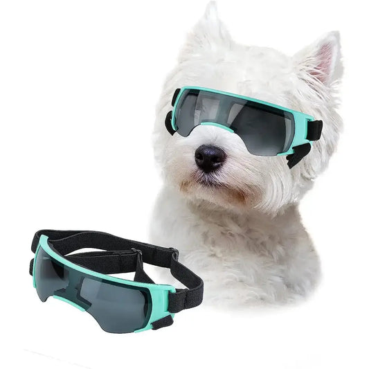 White dog wearing teal-framed sunglasses.