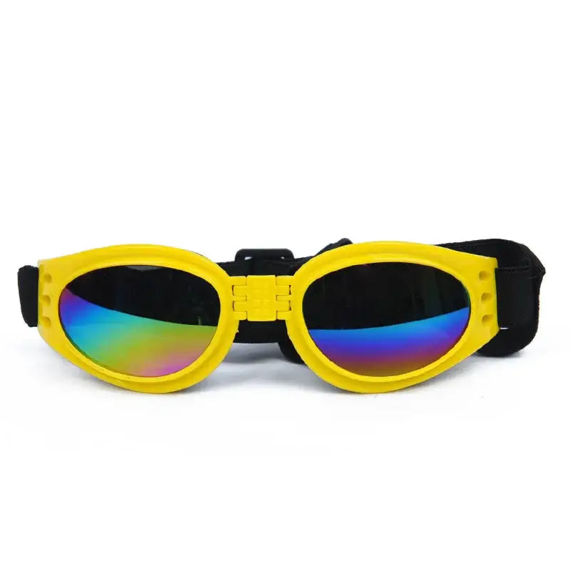 Yellow dog goggles with rainbow-tinted lenses.