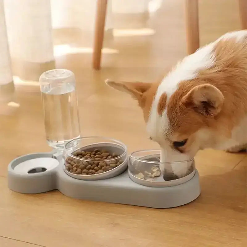 Pet feeding station with water bottle, food bowl, and water bowl integrated into a single unit.