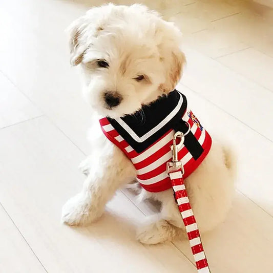 Fluffy white puppy wearing a red, white, and black striped sailor-style outfit with a leash attached.