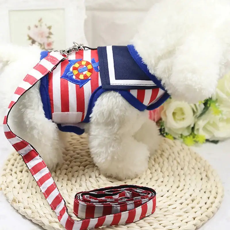 Patriotic red, white, and blue dog harness with matching leash.