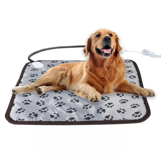 Electric heated pet mat with a Golden Retriever lying on it.