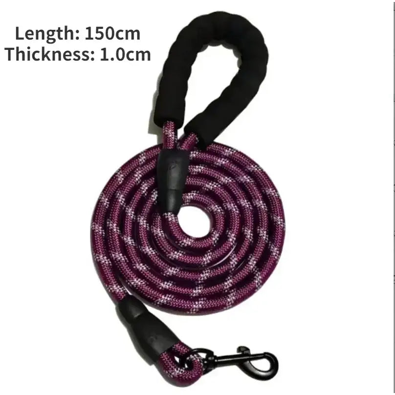 Purple and black braided dog leash with a padded handle and metal clip.