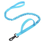 Heavy Duty Leash For Large Dogs - Vignette | DoggyElite