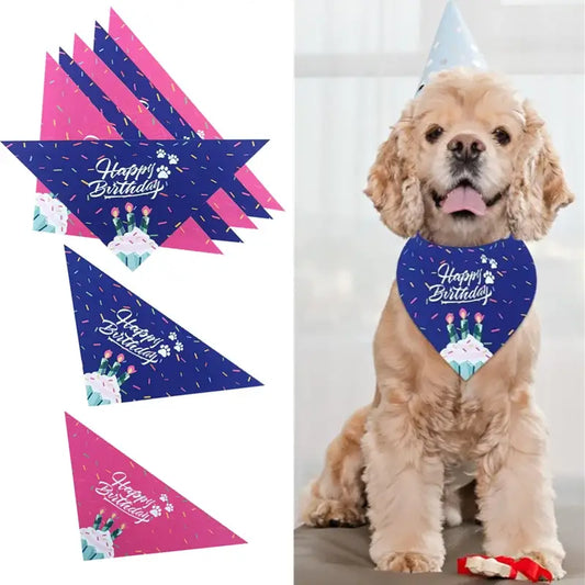 Cocker Spaniel wearing a blue ’Happy Birthday’ bandana.