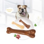 Indestructible Bone Dog Chew Toy - Vignette | DoggyElite