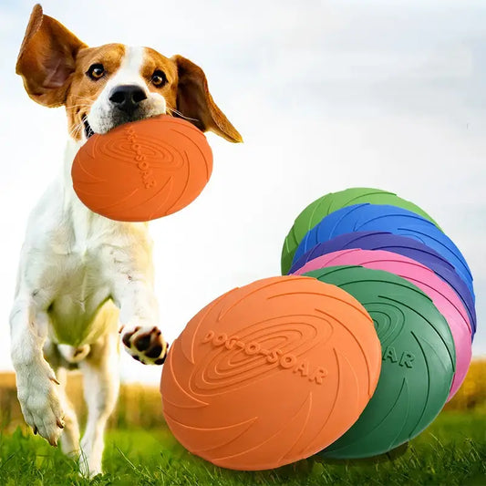 Playful dog holding an orange frisbee toy in its mouth, with colorful disc toys nearby.