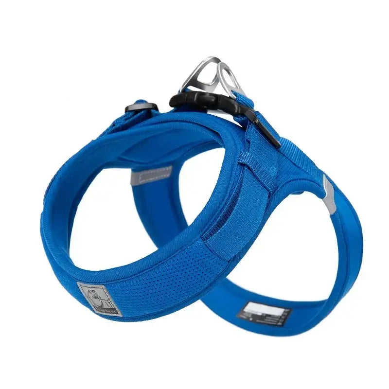 Blue dog harness with adjustable straps and a metal attachment ring.