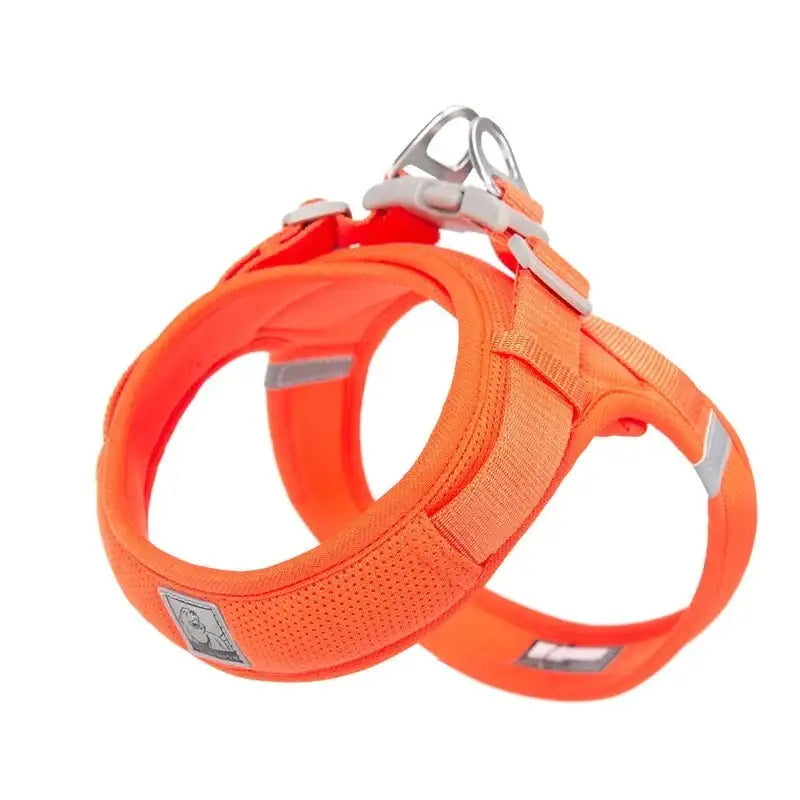 Bright orange dog harness with reflective strips and metal attachment rings.