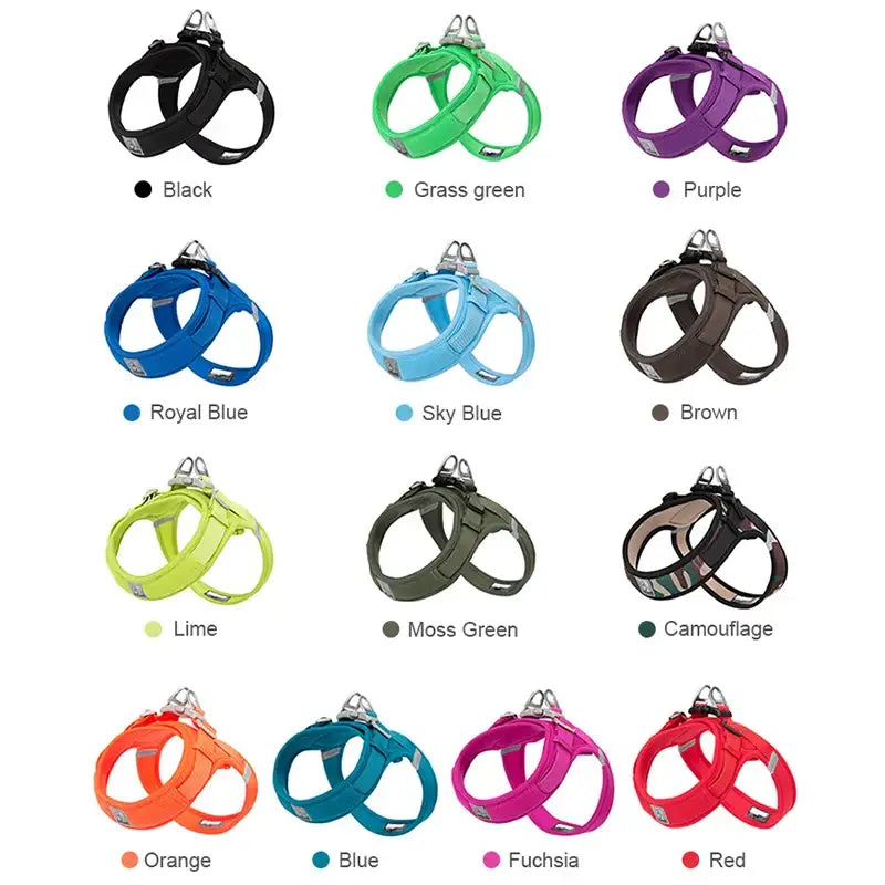 Dog harnesses in various colors arranged in rows.