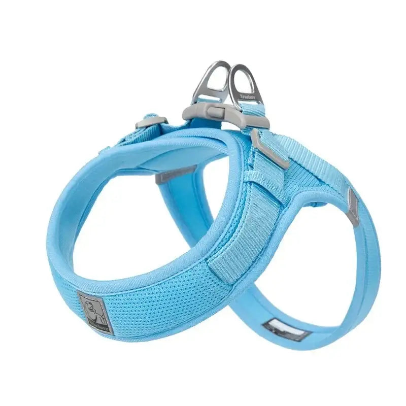 Light blue padded dog harness with adjustable straps and metal hardware.