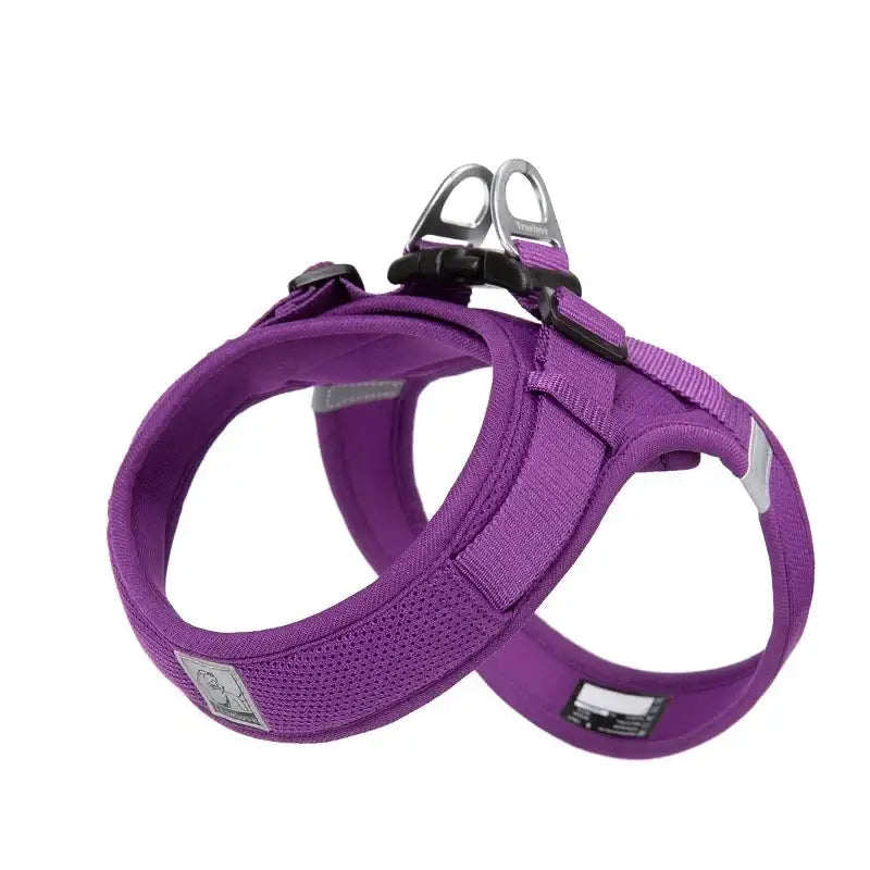 Purple dog harness with padded chest and adjustable straps.