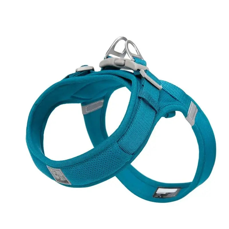 Teal-colored dog harness with adjustable straps and metal hardware.