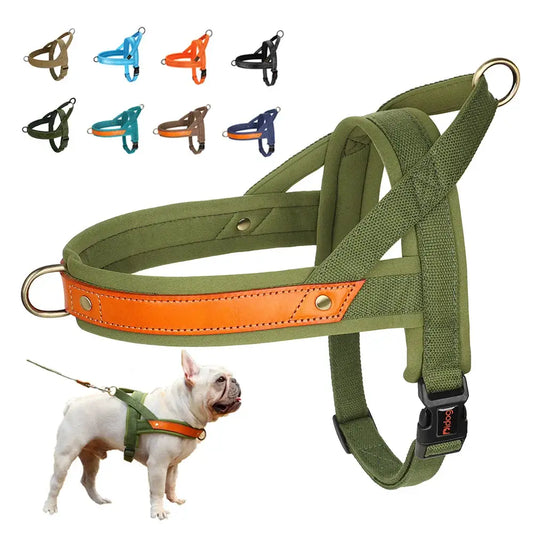 Dog harness with an olive green strap and orange accent band.