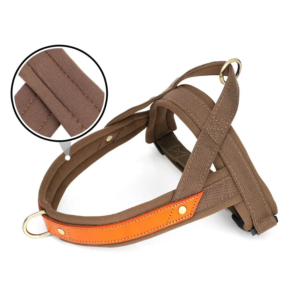 Dog harness with brown straps and an orange accent piece.