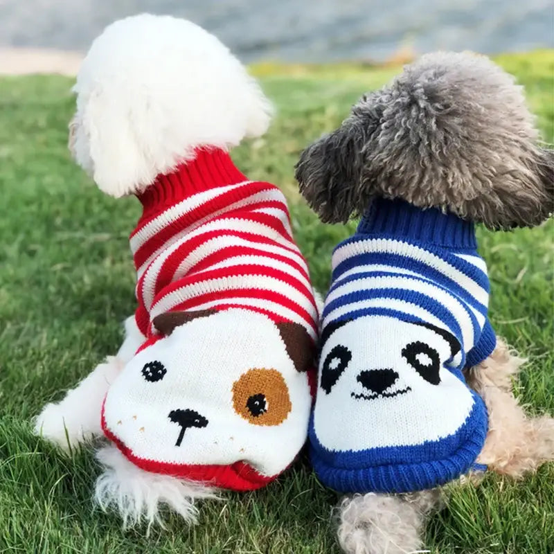 Two small dogs wearing colorful knitted sweaters with animal face designs.