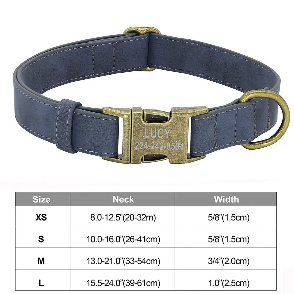 Blue leather dog collar with a brass buckle and personalized nameplate.