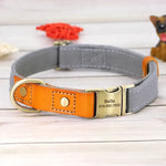 Leather Dog Collar With Name Plate - Vignette | DoggyElite