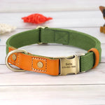 Leather Dog Collar With Name Plate - Vignette | DoggyElite