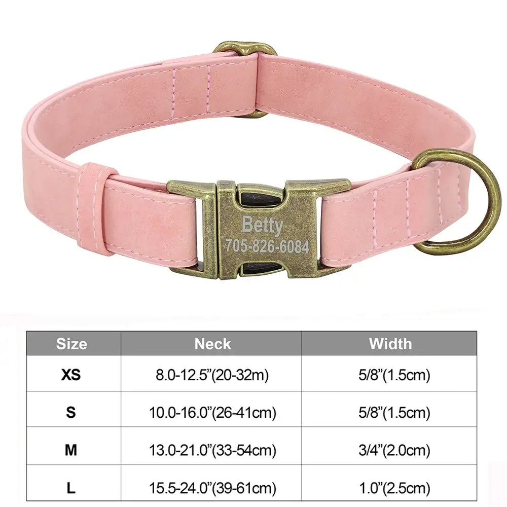 Pink dog collar with a metal buckle and personalized nameplate.