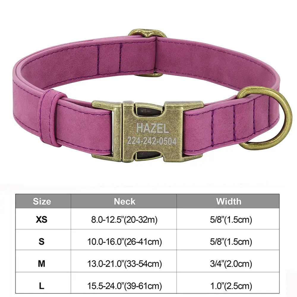 Pink leather dog collar with a brass buckle and engraved name tag.