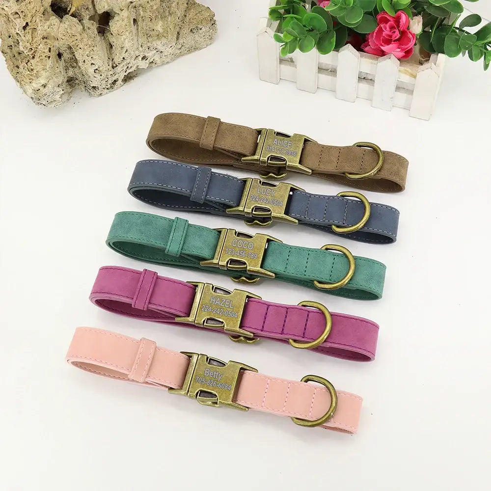 Set of colorful dog collars with metal buckles.