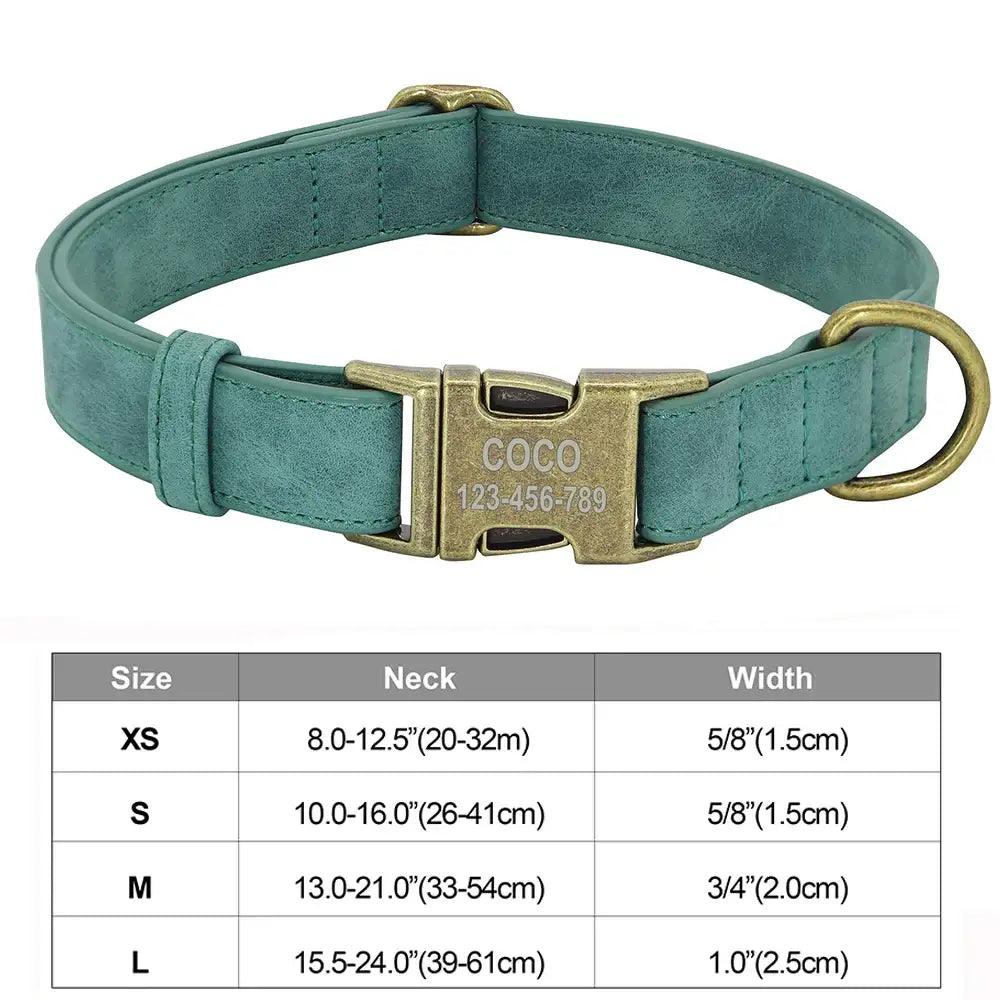 Teal suede dog collar with brass hardware and personalized name tag.