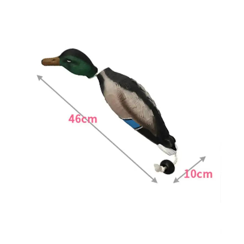 Realistic model or decoy of a mallard duck with measurements indicated.