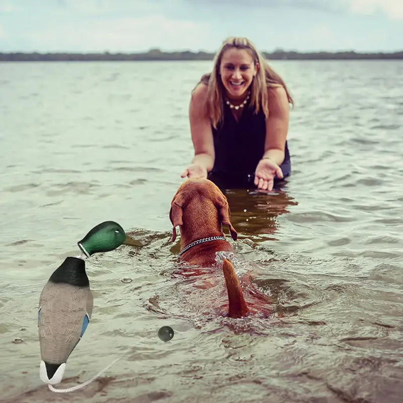 Woman in water reaching towards a swimming dog.